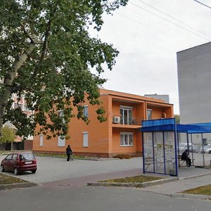 Vulytsia Holovatoho, 2, Boryspil: photo