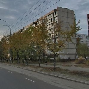 Heroiv Dnipra Street, 57, Kyiv: photo