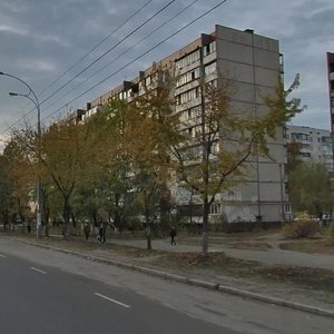 Heroiv Dnipra Street, No:57, Kiev: Fotoğraflar