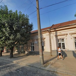 Holovna vulytsia, 169, Chernivtsi: photo