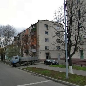 Antonovycha Street, 170/1Б, : foto