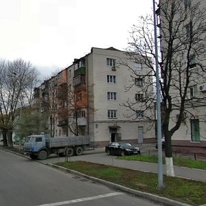 Antonovycha Street, 170/1Б, Kyiv: photo