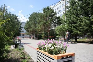 Благовещенск, Улица Воронкова, 26/3: фото