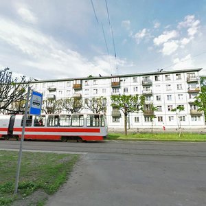 Novocherkasskiy Avenue, 50к1 ، سان بطرسبرغ: صورة