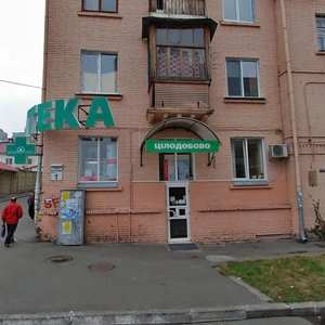 Briullova Street, 1А, Kyiv: photo