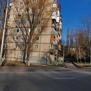 Schusieva Street, 40, Kyiv: photo