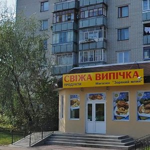 Lotna vulytsia, 17А, Chernihiv: photo