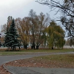 Povitroflotskyi Avenue, 80 ، كييف: صورة