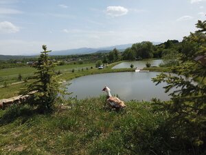 Urochishche Sukhaya Balka, 1, Krasnodar Krai: photo