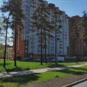 Svetlanovskiy Avenue, 43, Saint Petersburg: photo