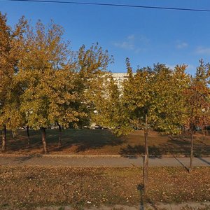 Ukrainska vulytsia, 2, Zaporizhia: photo