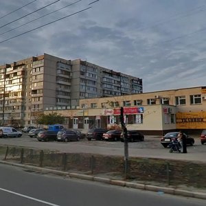 Heroiv Dnipra Street, 67, Kyiv: photo