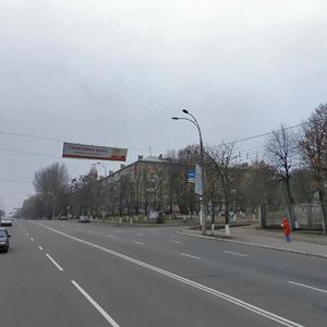 Vidradnyi Avenue, 6/1, Kyiv: photo