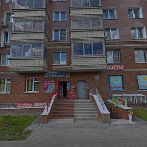 Kosmonavtov Boulevard, 4, Krasnogorsk: photo