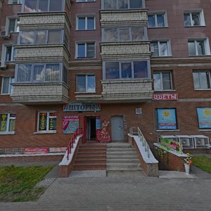 Kosmonavtov Boulevard, No:4, Krasnogorsk: Fotoğraflar