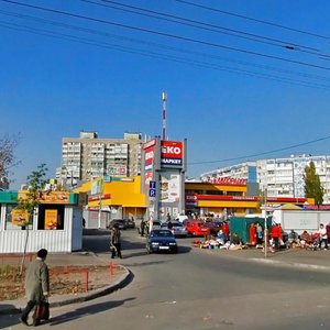 Volodymyra Maiakovskoho Avenue, No:17, Kiev: Fotoğraflar