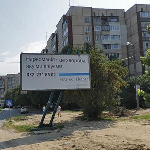 Naukova vulytsia, 13 ، لفيف: صورة