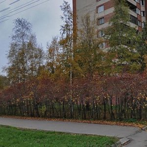 Stachek Avenue, 87, Saint Petersburg: photo