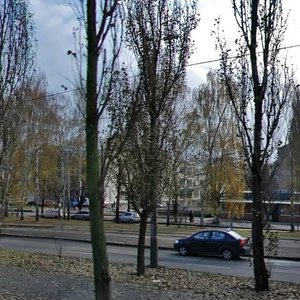 Vatslava Havela Boulevard, 23, Kyiv: photo