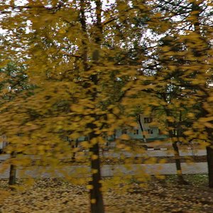 Pobedy Street, 19, : foto