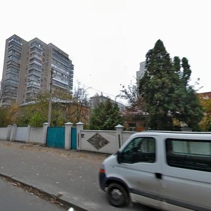 Oleksy Tykhoho Street, 24, : foto