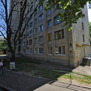 Rybalska Street, 3, Kyiv: photo