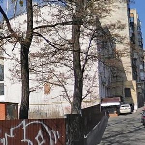 Volodymyrska Street, 93, : foto
