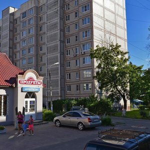 Lopasnenskaya Street, 11, Chehov: photo