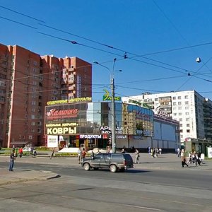Санкт‑Петербург, Проспект Просвещения, 48: фото