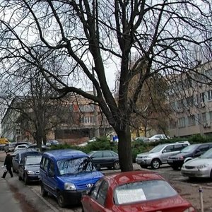 Starokyivska Street, 10А, Kyiv: photo