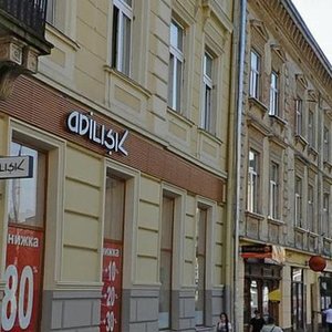 Vulytsia Akademika Hnatiuka, 11, Lviv: photo