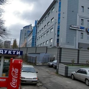 Sholudenka Street, 1, Kyiv: photo