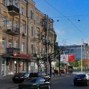 Saksahanskoho Street, 69, Kyiv: photo