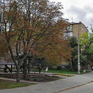 Halytska Street, No:1, Kiev: Fotoğraflar