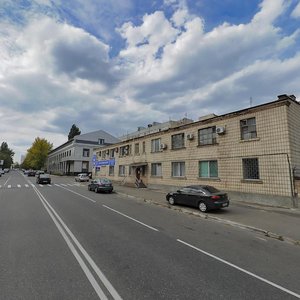 Antona Tsedika Street, 10А, Kyiv: photo