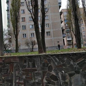 Mykoly Pymonenka Street, 12, Kyiv: photo