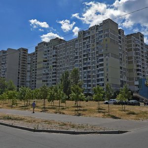 Revutskoho Street, 44, Kyiv: photo
