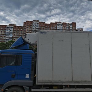 Volodymyra Maiakovskoho Avenue, 69, Kyiv: photo