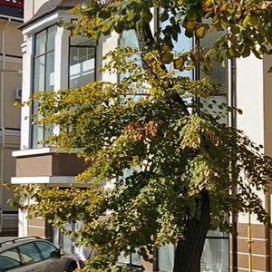 Херсон, Улица Ярослава Мудрого, 8А: фото