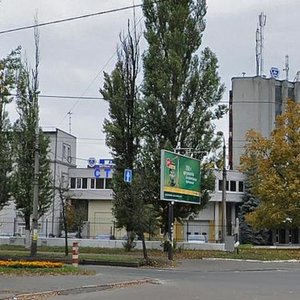 Vatslava Havela Boulevard, 10, Kyiv: photo