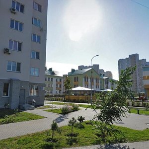 Urlivska Street, 19А, Kyiv: photo