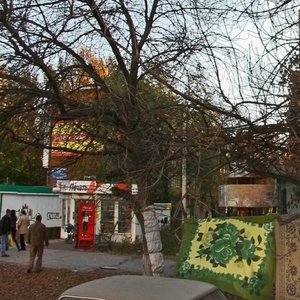 Tashkentskaya Street, 98, : foto