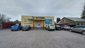 Воронеж, Улица 45-й Стрелковой Дивизии, 180: фото
