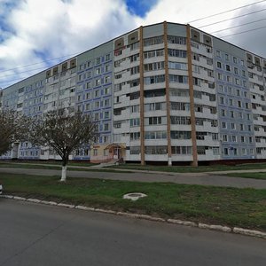 Shinnikov Avenue, 44, Nizhnekamsk: photo