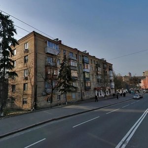 Bastionna Street, 10, Kyiv: photo