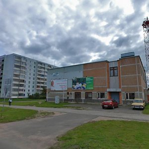 Kommunalnaya Street, 60, Pskov: photo