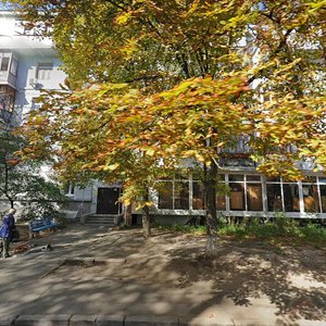 Chyhorina Street, 49, Kyiv: photo