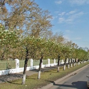 Akademika Vavilova Street, No:68, Krasnoyarsk: Fotoğraflar