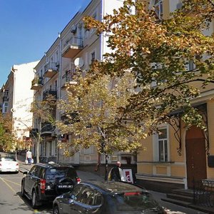 Mykoly Lysenka Street, 3, Kyiv: photo