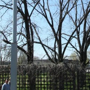 Sholokhova Avenue, 272А, Rostov‑na‑Donu: photo